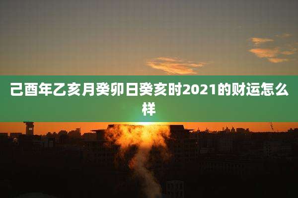 己酉年乙亥月癸卯日癸亥时2021的财运怎么样