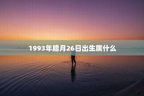 1993年腊月26日出生属什么