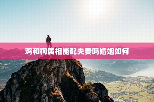 鸡和狗属相能配夫妻吗婚姻如何