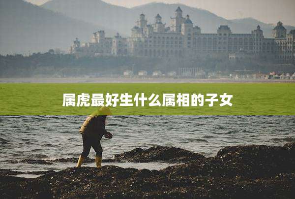 属虎最好生什么属相的子女