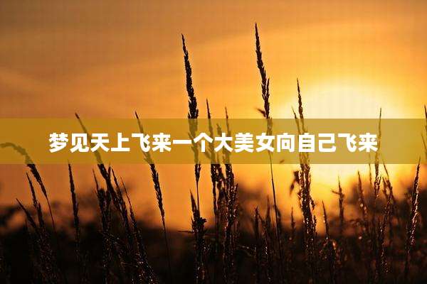 梦见天上飞来一个大美女向自己飞来