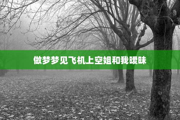 做梦梦见飞机上空姐和我暧昧