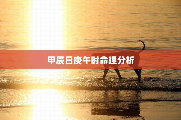 甲辰日庚午时命理分析