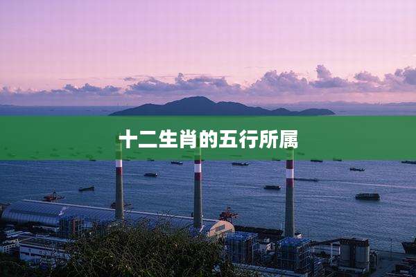 十二生肖的五行所属