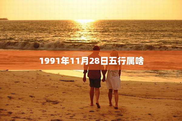 1991年11月28日五行属啥