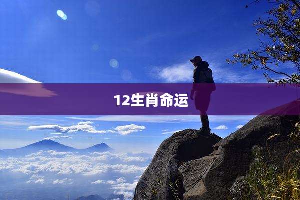 12生肖命运