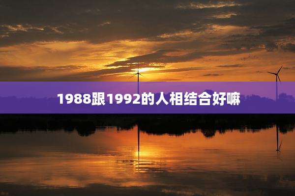 1988跟1992的人相结合好嘛