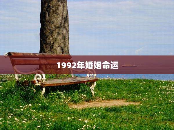 1992年婚姻命运