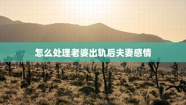 怎么处理老婆出轨后夫妻感情