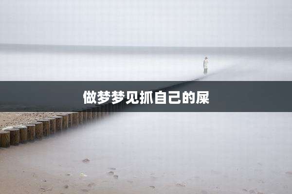 做梦梦见抓自己的屎