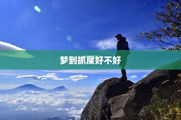 梦到抓屎好不好