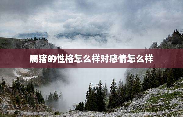 属猪的性格怎么样对感情怎么样