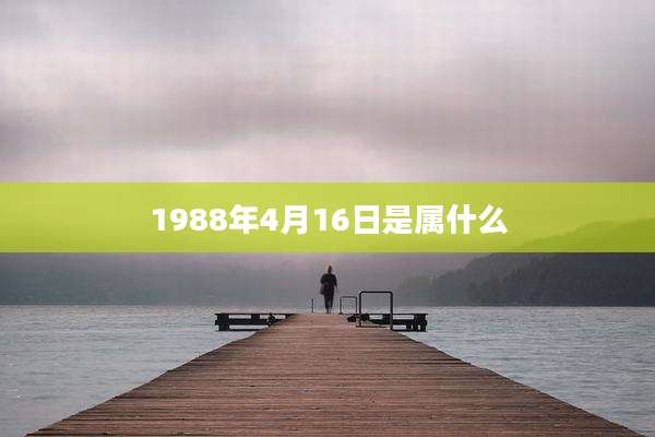 1988年4月16日是属什么
