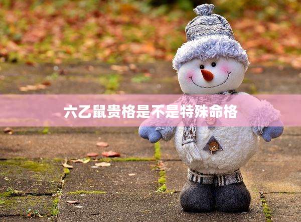 六乙鼠贵格是不是特殊命格