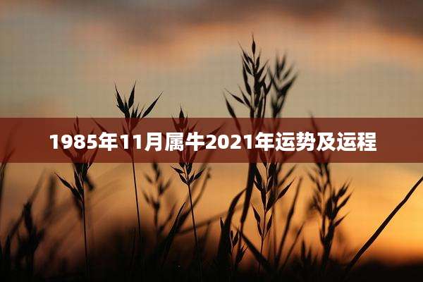 1985年11月属牛2021年运势及运程