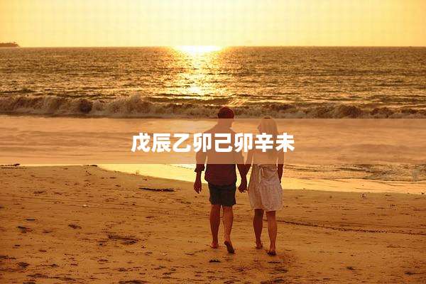 戊辰乙卯己卯辛未