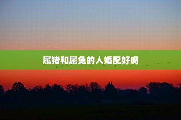 属猪和属兔的人婚配好吗