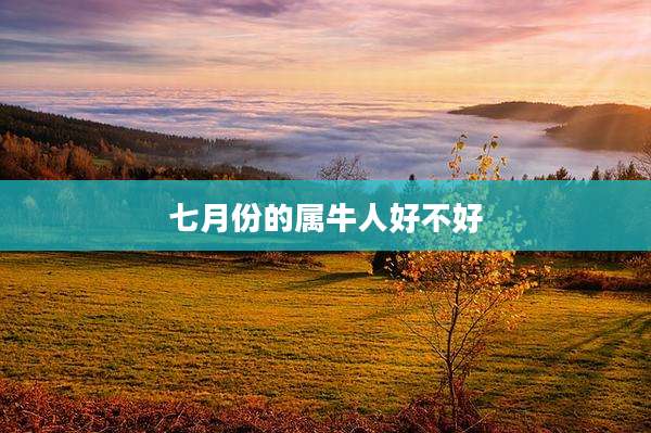 七月份的属牛人好不好