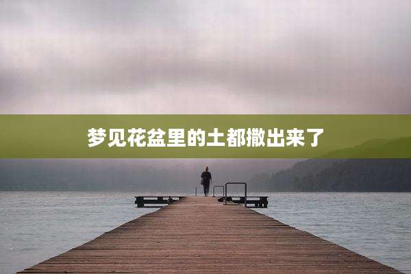 梦见花盆里的土都撒出来了