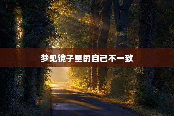 梦见镜子里的自己不一致