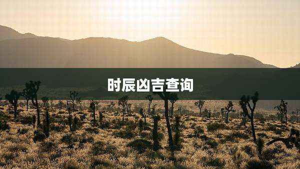 时辰凶吉查询