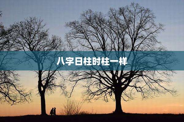 八字日柱时柱一样