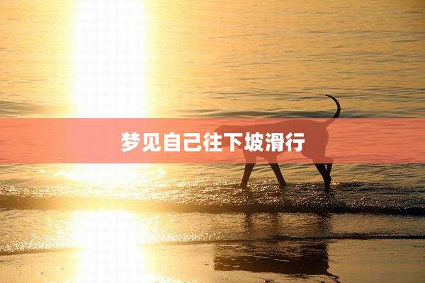 梦见自己往下坡滑行