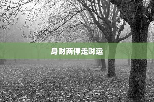 身财两停走财运