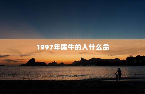 1997年属牛的人什么命