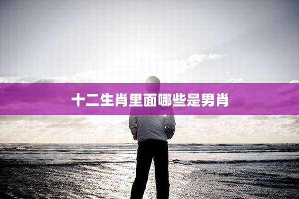 十二生肖里面哪些是男肖
