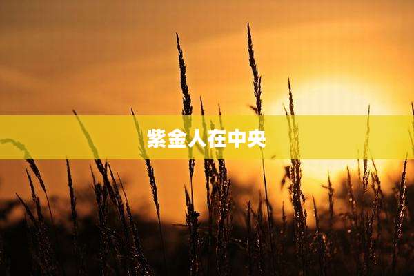 紫金人在中央