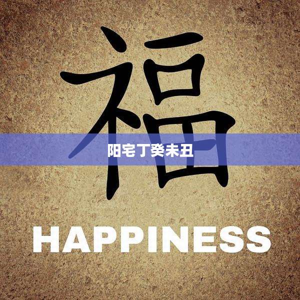阳宅丁癸未丑