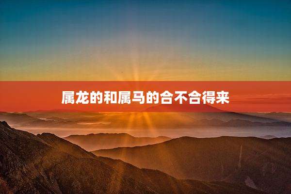 属龙的和属马的合不合得来