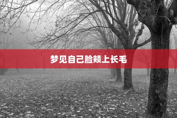 梦见自己脸颊上长毛