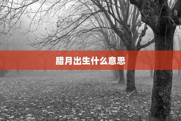 腊月出生什么意思