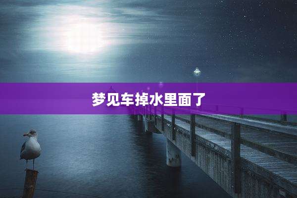 梦见车掉水里面了
