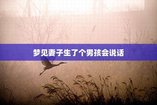 梦见妻子生了个男孩会说话