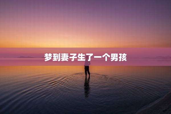 梦到妻子生了一个男孩
