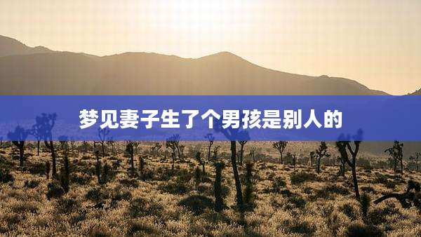 梦见妻子生了个男孩是别人的