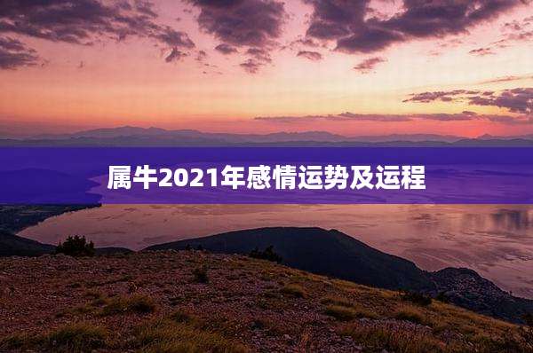 属牛2021年感情运势及运程
