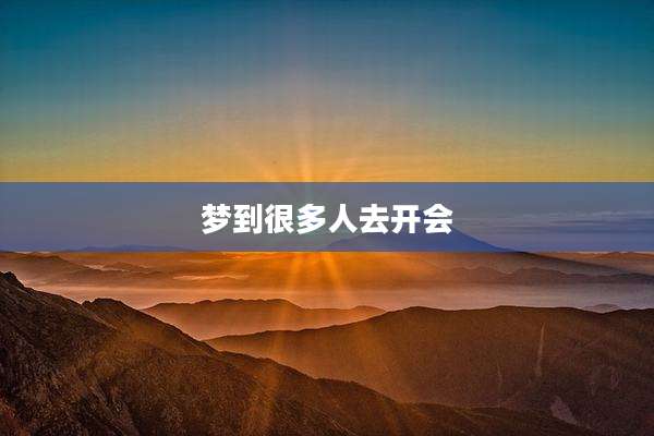 梦到很多人去开会