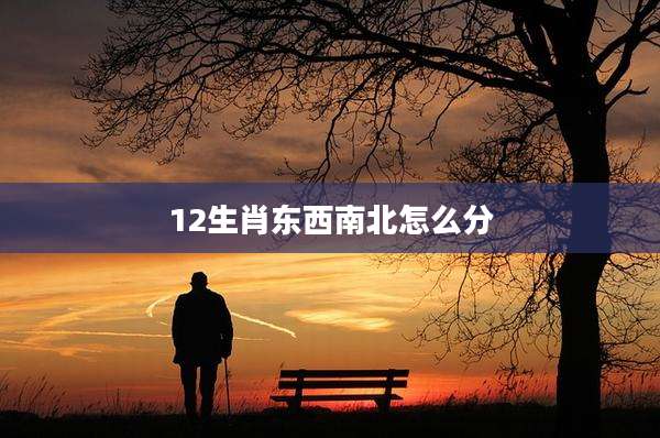 12生肖东西南北怎么分