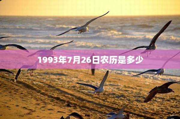1993年7月26日农历是多少