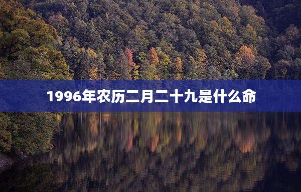 1996年农历二月二十九是什么命