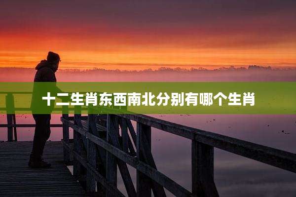 十二生肖东西南北分别有哪个生肖