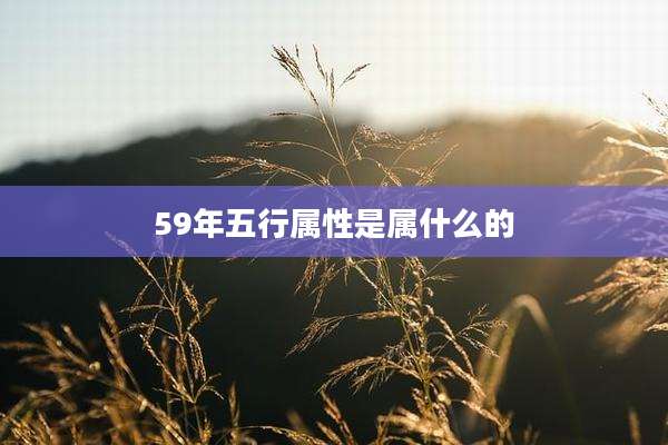 59年五行属性是属什么的