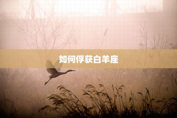 如何俘获白羊座