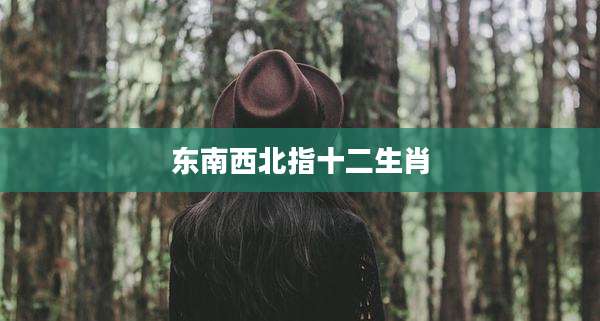 东南西北指十二生肖