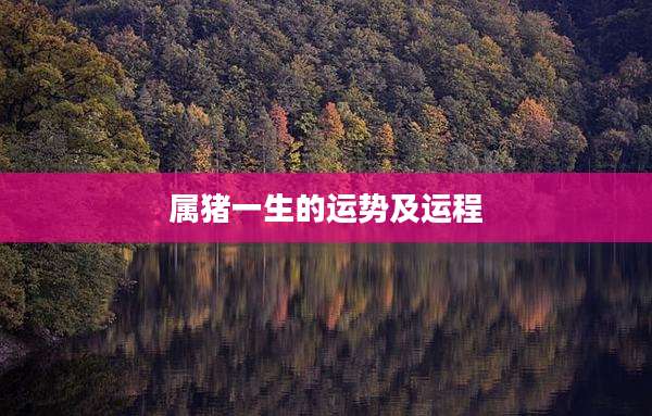 属猪一生的运势及运程