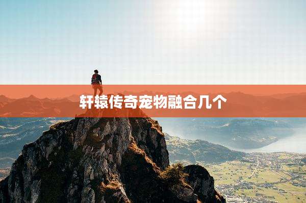 轩辕传奇宠物融合几个